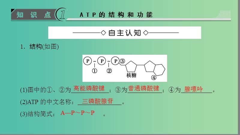 高中生物 第5章 细胞的能量供应和利用 第2节 细胞的能量“通货”——ATP课件 新人教版必修1.ppt_第3页