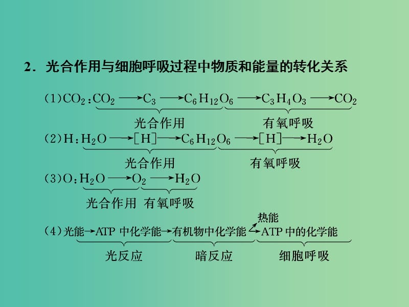 高考生物一轮复习 光合作用与细胞呼吸的关系课件.ppt_第2页