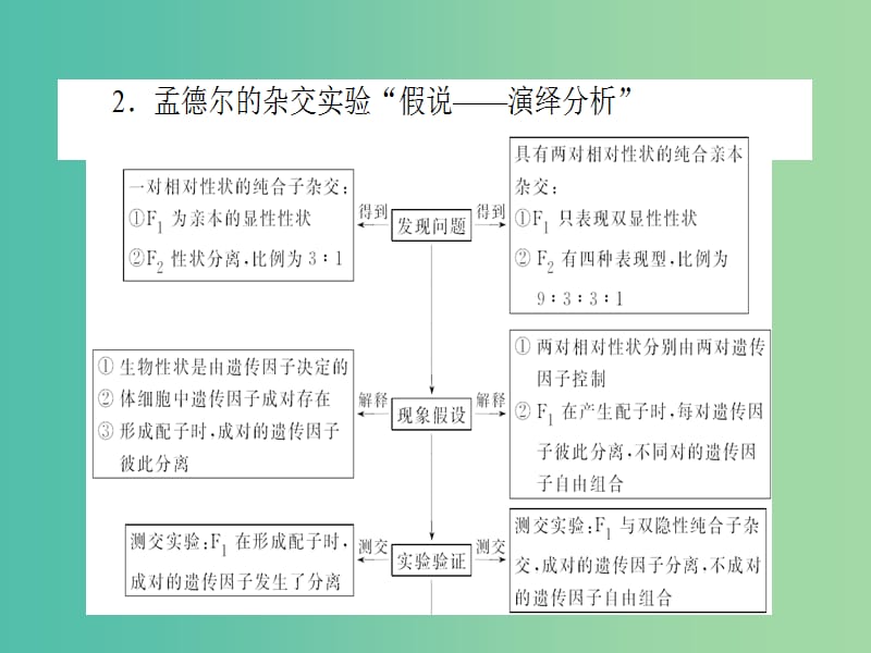 高考生物二轮专题复习 专题七 遗传的基本规律课件.ppt_第3页