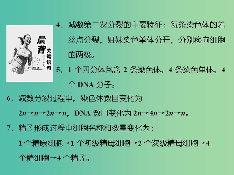 高中生物 第2章 第1节 第1课时 减数分裂与精子的形成过程课件 新人教版必修2.ppt_第3页