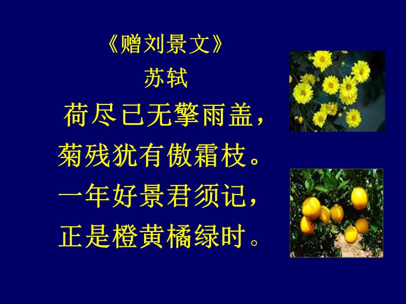 古诗《夜书所见》.ppt_第3页