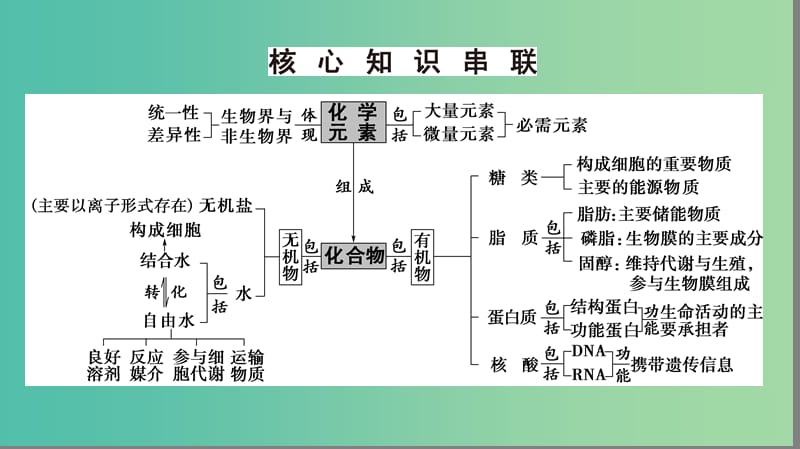 高考生物二轮复习 第1部分 板块1 代谢 专题1 细胞的物质基础课件.ppt_第3页