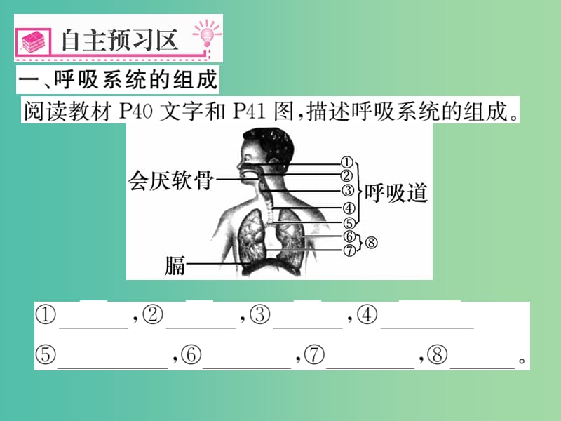 七年级生物下册 第三章 第一节 呼吸道对空气的处理课件 新人教版.ppt_第2页