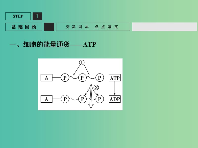 高考生物一轮复习 第3单元 基础课时案9 ATP与细胞呼吸的概念、类型及过程课件 新人教版必修1.ppt_第3页