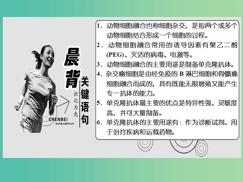 高中生物 第1部分 专题2 细胞工程 2.2 动物细胞工程 2.2.2 动物细胞融合与单克隆抗体课件 新人教版选修3.ppt_第3页