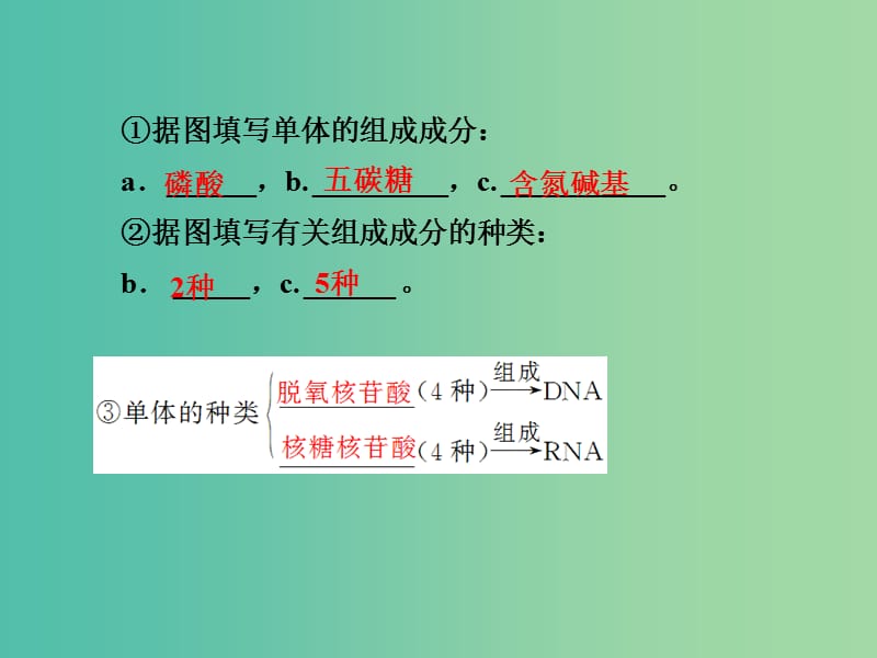 高考生物第一轮复习 第一单元 第4讲 核酸、糖类和脂质课件 新人教版必修1.ppt_第3页