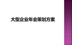 大型企業(yè)年會(huì)策劃方案.ppt