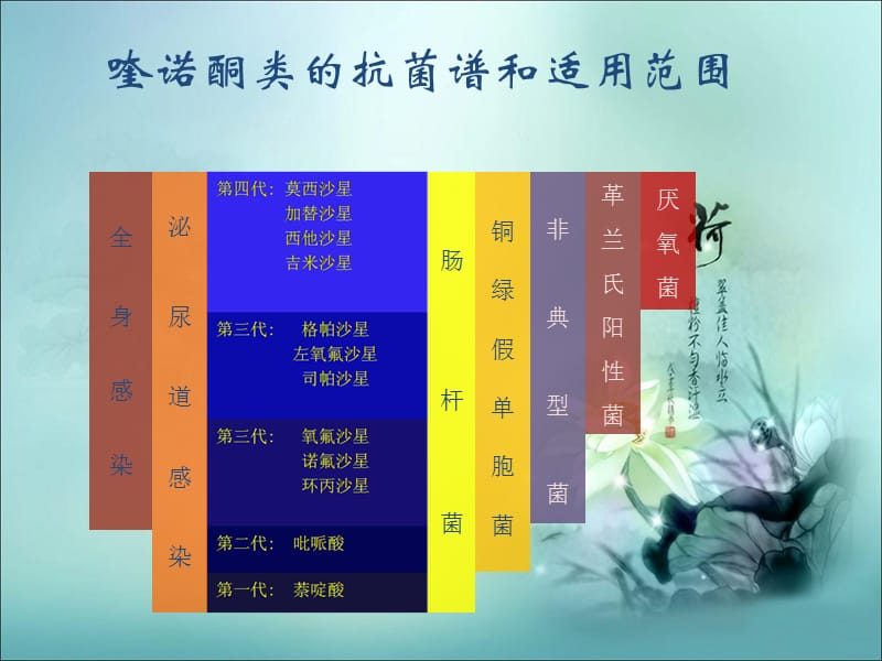 氟喹诺酮类抗菌药物的合理选择.ppt_第3页