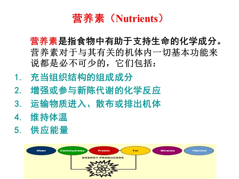 宠物基础营养学-供能营养素.ppt_第2页