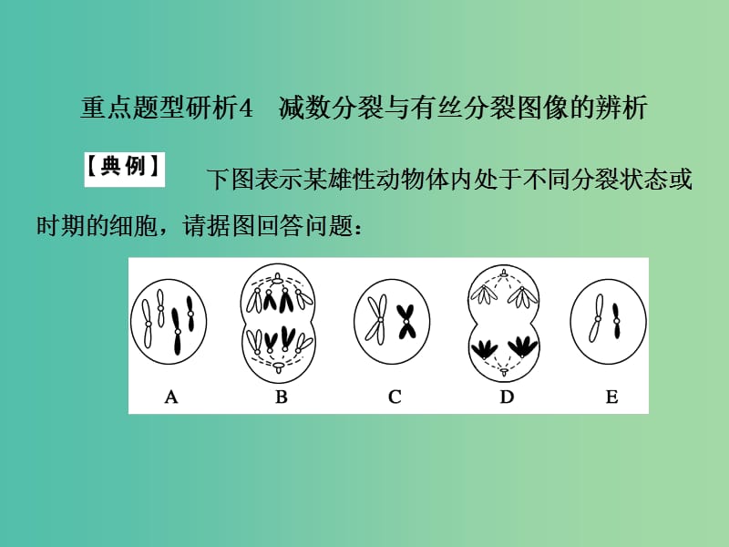 高考生物一轮复习 考能专项突破4 减数分裂与有丝分裂课件.ppt_第2页