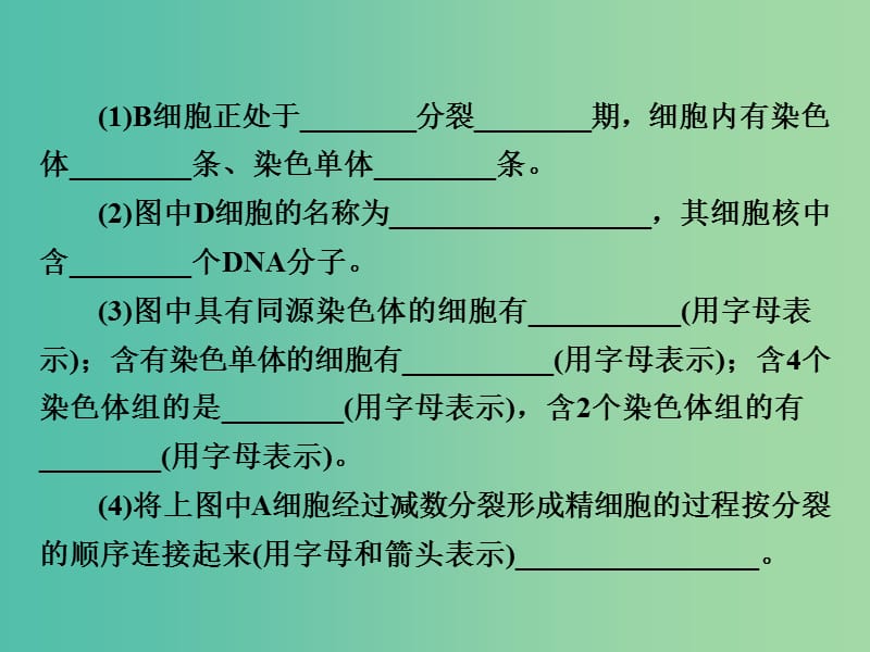 高考生物一轮复习 考能专项突破4 减数分裂与有丝分裂课件.ppt_第3页