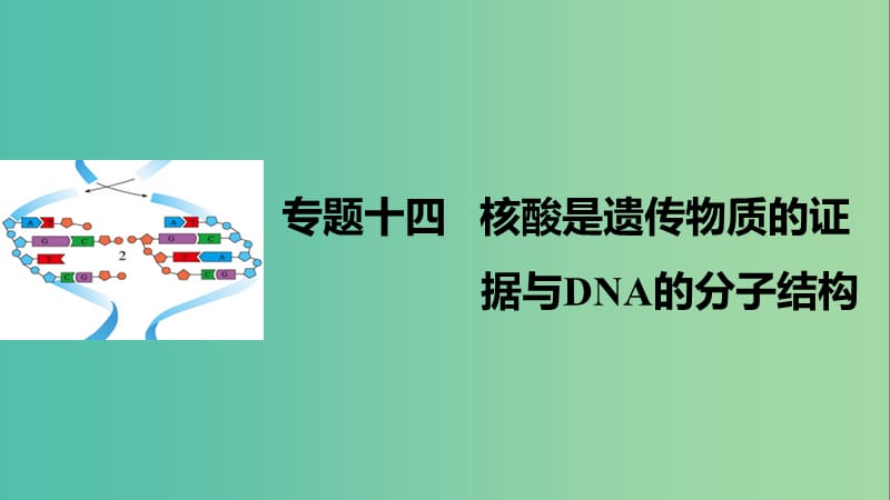 高考生物二轮复习 专题十四 核酸是遗传物质的证据与DNA的分子结构课件.ppt_第1页