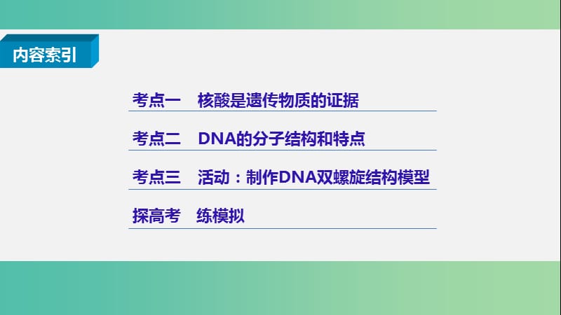 高考生物二轮复习 专题十四 核酸是遗传物质的证据与DNA的分子结构课件.ppt_第2页