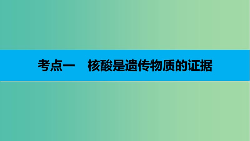 高考生物二轮复习 专题十四 核酸是遗传物质的证据与DNA的分子结构课件.ppt_第3页