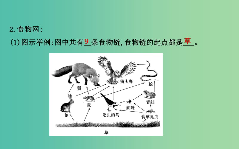 七年级生物上册 1.2.2 生物与环境组成生态系统（二）课件 新人教版.ppt_第3页