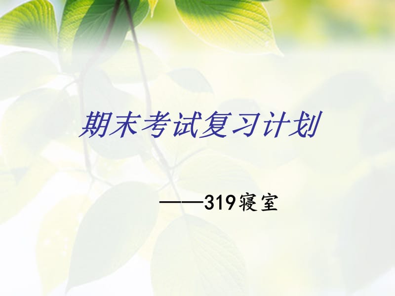 期末考试复习计划.ppt_第1页