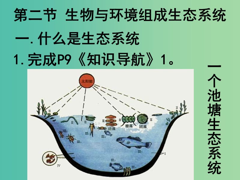 七年级生物上册《1.2.2 生物与环境组成生态系统》课件 新人教版.ppt_第2页