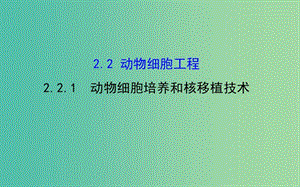 高中生物 探究導(dǎo)學(xué)課型 專題2 細(xì)胞工程 2.2.1 動物細(xì)胞培養(yǎng)和核移植技術(shù)同課異構(gòu)課件 新人教版選修3.ppt