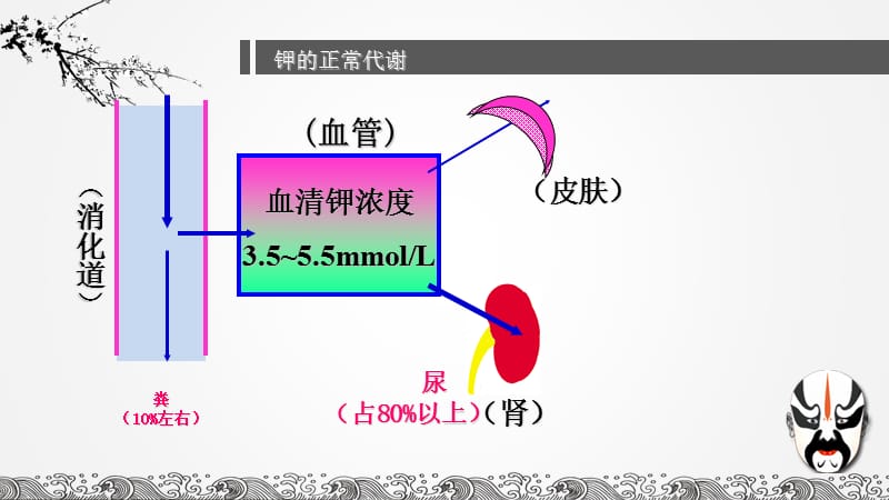 低钾和高钾血症的护理.ppt_第3页