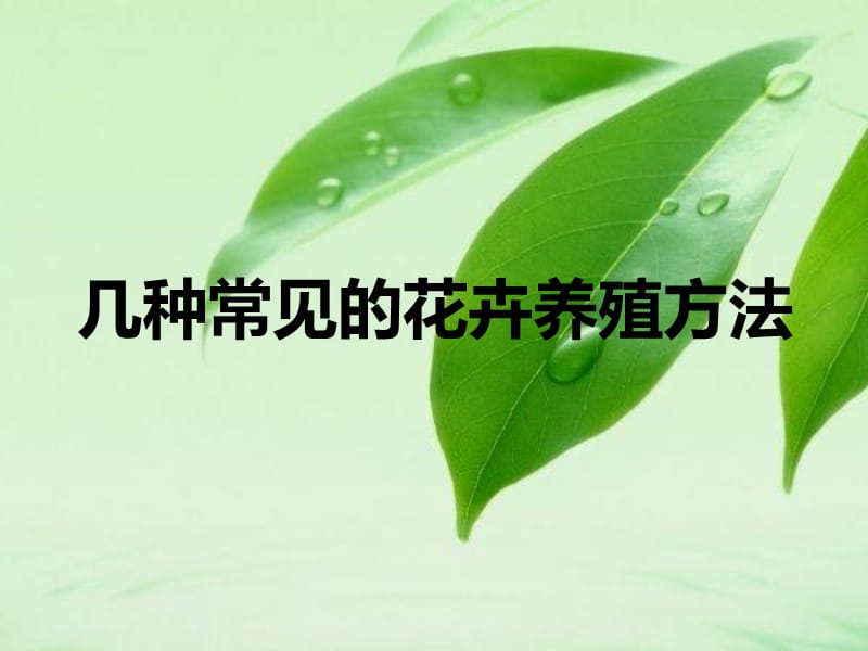 几种常见的花卉养殖方法.ppt_第1页