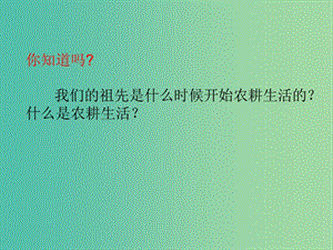 七年級歷史上冊 1.2 原始的農(nóng)耕生活課件 岳麓版.ppt