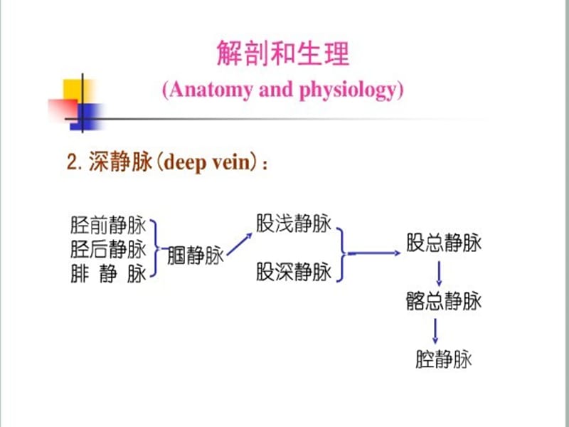 大隐静脉曲张病人护理ppt课件.ppt_第3页