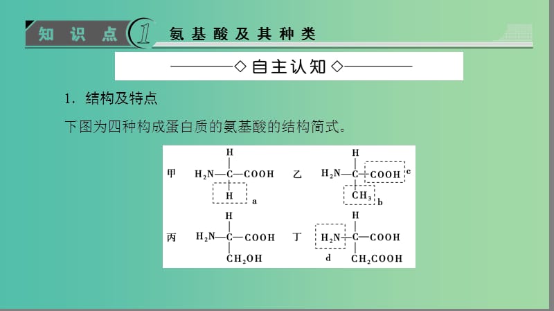 高中生物 第2章 组成细胞的分子 第2节 生命活动的主要承担者——蛋白质课件 新人教版必修1.ppt_第3页