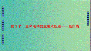 高中生物 第2章 組成細胞的分子 第2節(jié) 生命活動的主要承擔者——蛋白質課件 新人教版必修1.ppt