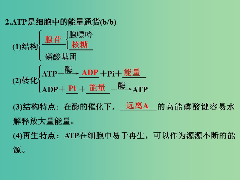 高考生物总复习 第二单元 细胞的代谢 第4讲 细胞与能量及细胞呼吸课件.ppt_第3页