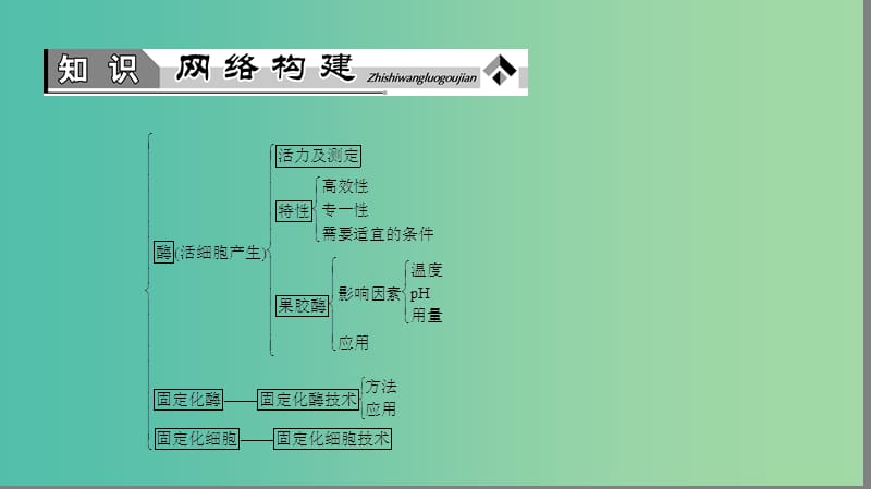 高中生物 第3章 酶的制备及应用章末复习提升课课件 中图版选修1.ppt_第2页