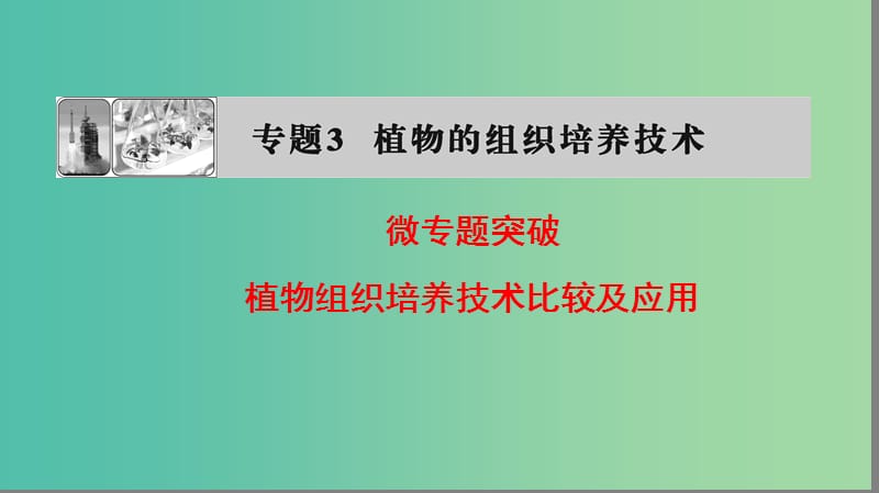 高中生物 专题3 植物的组织培养技术 植物组织培养技术比较及应用微专题突破课件 新人教版选修1.ppt_第1页