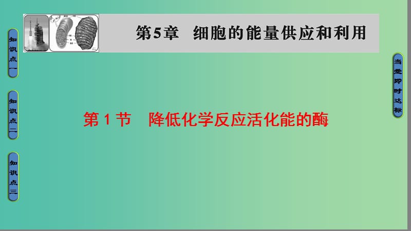 高中生物 第5章 细胞的能量供应和利用 第1节 降低化学反应活化能的酶课件 新人教版必修1.ppt_第1页