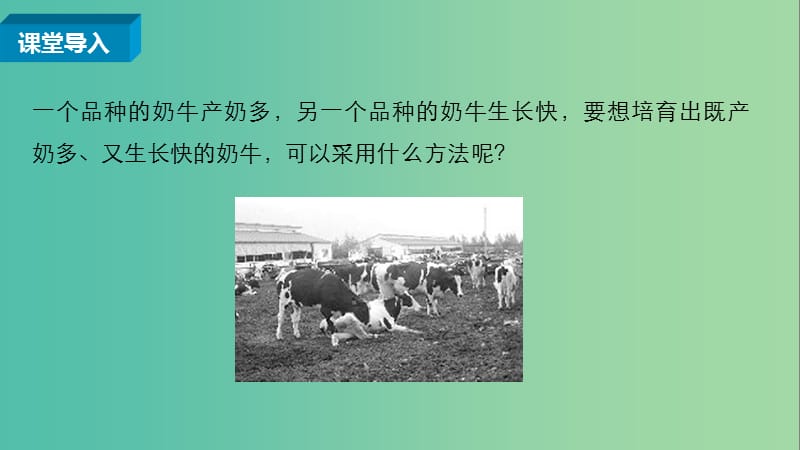 高中生物 第一章 第二节 进化性变化是怎样发生的课件1 浙科版必修2.ppt_第2页