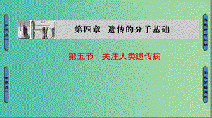 高中生物 第4章 遺傳的分子基礎(chǔ) 第5節(jié) 關(guān)注人類遺傳參件 蘇教版必修2.ppt