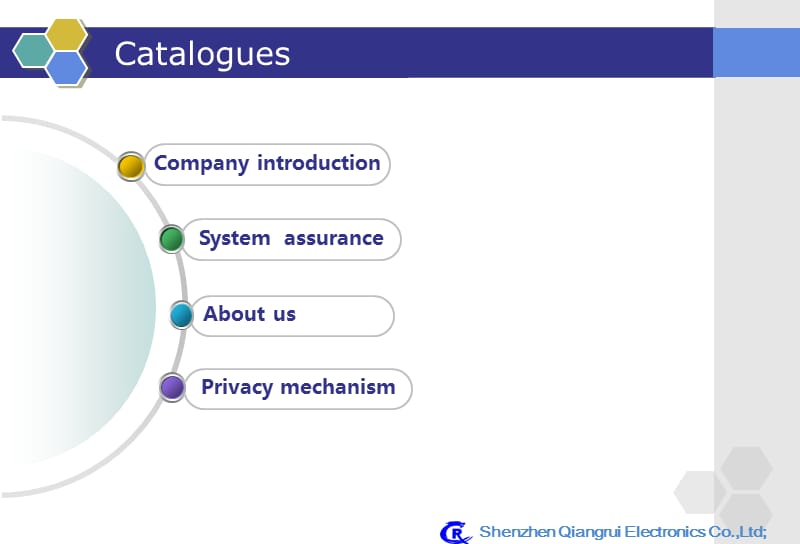 公司简介(英文版).ppt_第2页