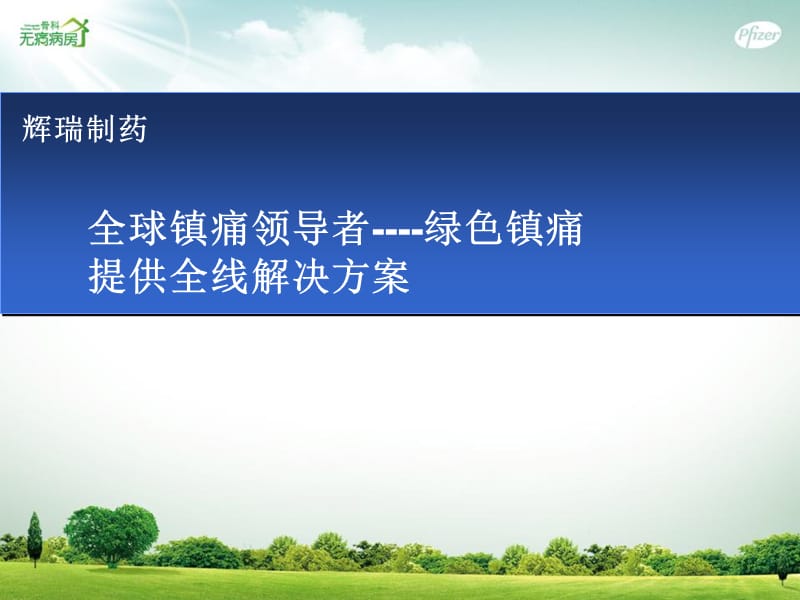 无痛病房建立资料.ppt_第2页