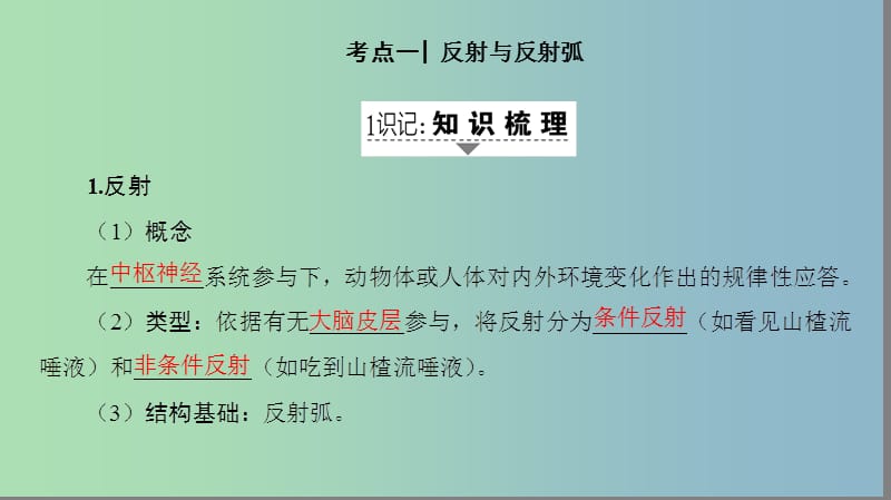 高三生物一轮复习第8单元第2讲通过神经系统的调节课件新人教版.ppt_第2页