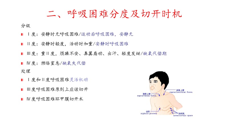 气管切开的基本操作和技巧.ppt_第3页