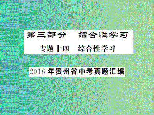 中考語文總復(fù)習(xí) 專題十四 綜合性學(xué)習(xí)課件1.ppt