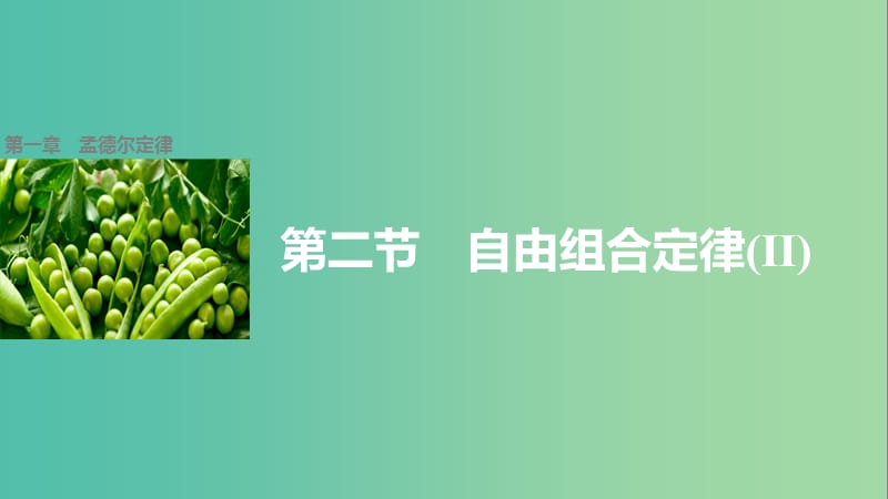 高中生物 第一章 第二节 进化性变化是怎样发生的课件2 浙科版必修2.ppt_第1页