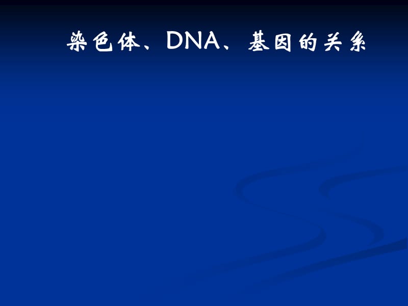 染色体、DNA、基因的关系.ppt_第1页