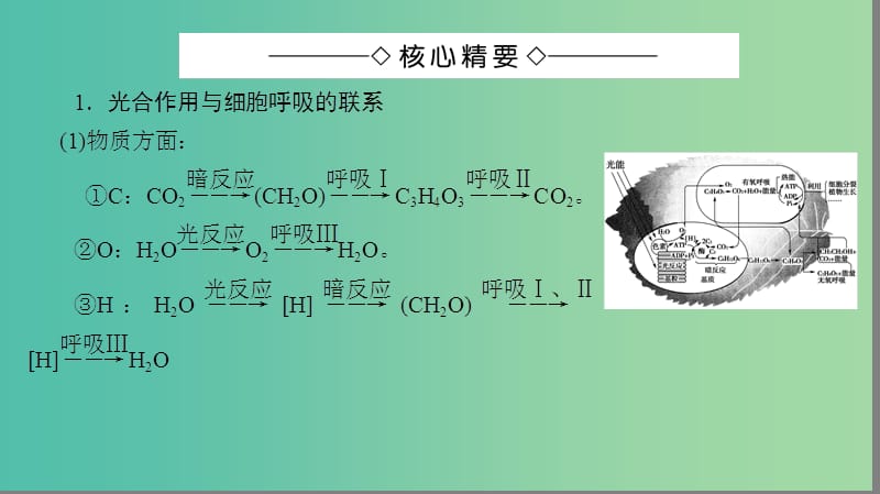 高中生物 第5章 细胞的能量供应和利用 光合作用与细胞呼吸的综合微专题突破课件 新人教版必修1.ppt_第2页