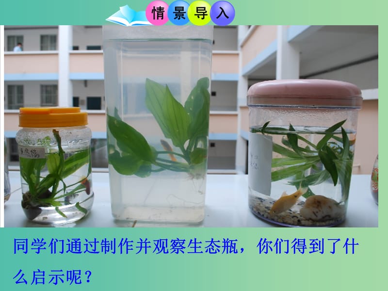 高中生物 第五章 第五节 生态系统的稳定性课件 新人教版必修3.ppt_第2页