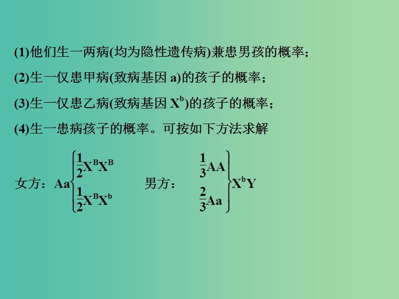 高考生物一轮复习 遗传病概率求解、“正常人群”中“杂合子” 取值及电泳图谱辨析课件.ppt_第3页