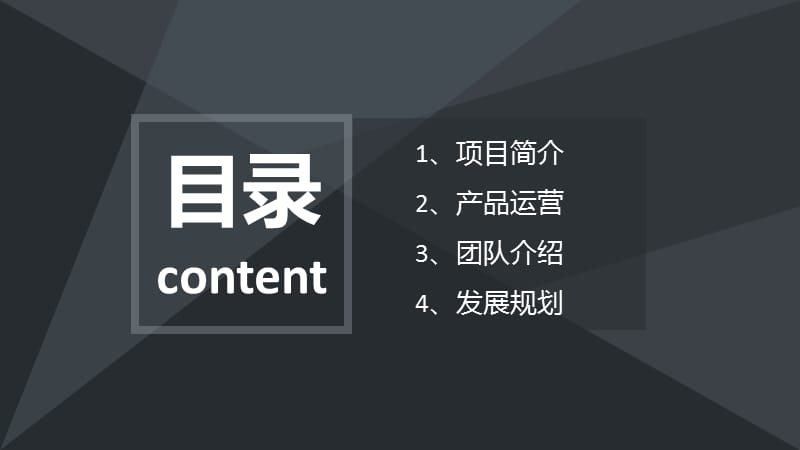 大数据健康平台商业计划书.ppt_第2页