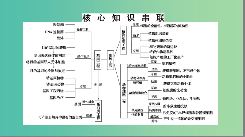 高考生物二轮复习 第1部分 板块6 专题15 第1讲 基因工程和细胞工程课件.ppt_第3页