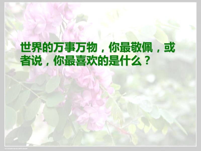 张抗抗《窗前的树》刘自书.ppt_第2页