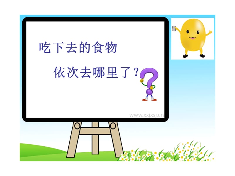 幼儿园《食物的旅行》.ppt_第3页