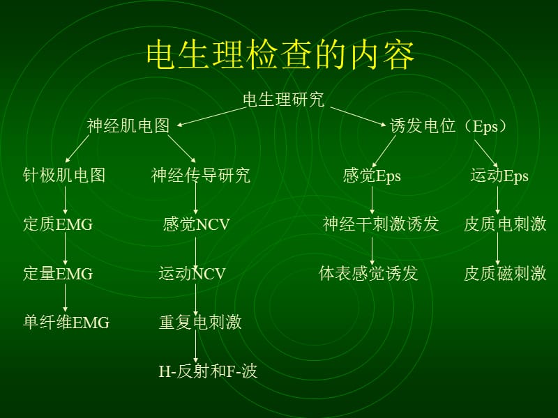 周围神经损害的电生理检查.ppt_第3页