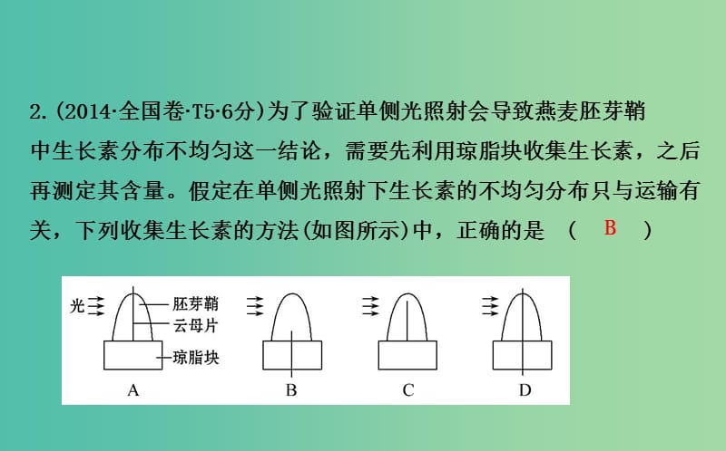 高考生物二轮复习 专题10 植物的激素调节课件.ppt_第3页